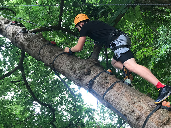 Ein junger Mann mit einem Helm klettert an einem dicken Baumstamm, umgeben von üppigem grünem Laub.